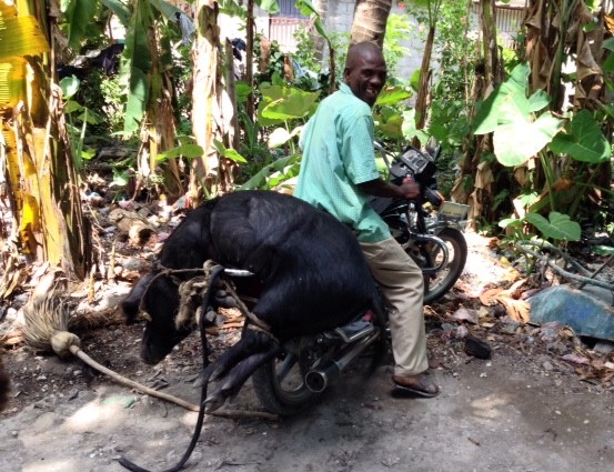 How you manage when you don't have a truck!