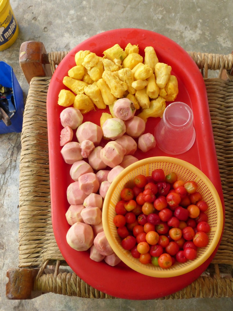Next up was canning jelly! They are using cherries, Haitian apples and another fruit here.