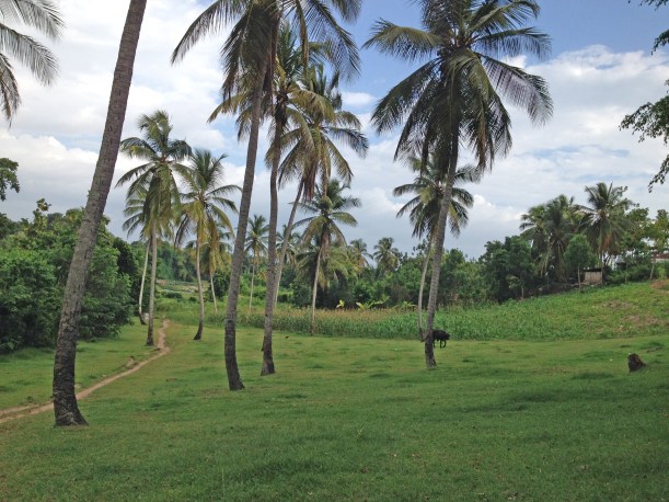 One of Trinity's favorite nearby hiking spots!