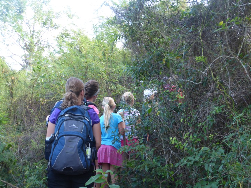 Creation is marvelous!