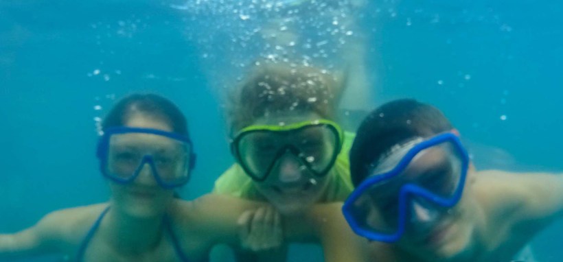 The underwater camera captured a lot of big fish down there!