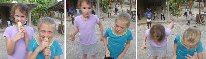 Trying sugarcane for the first time...this is how everyone eats it!