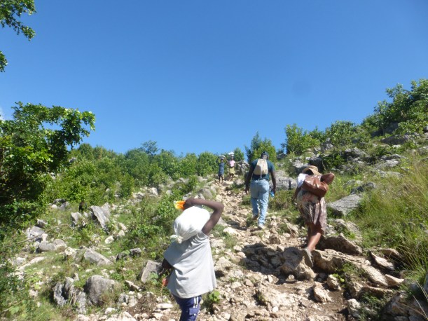 It was a little treacherous! We passed many people, horses and pack mules on the path!