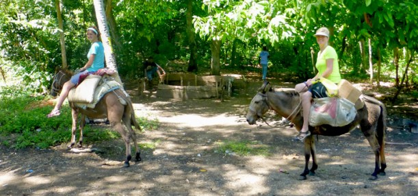 Taking a rest along the trail!