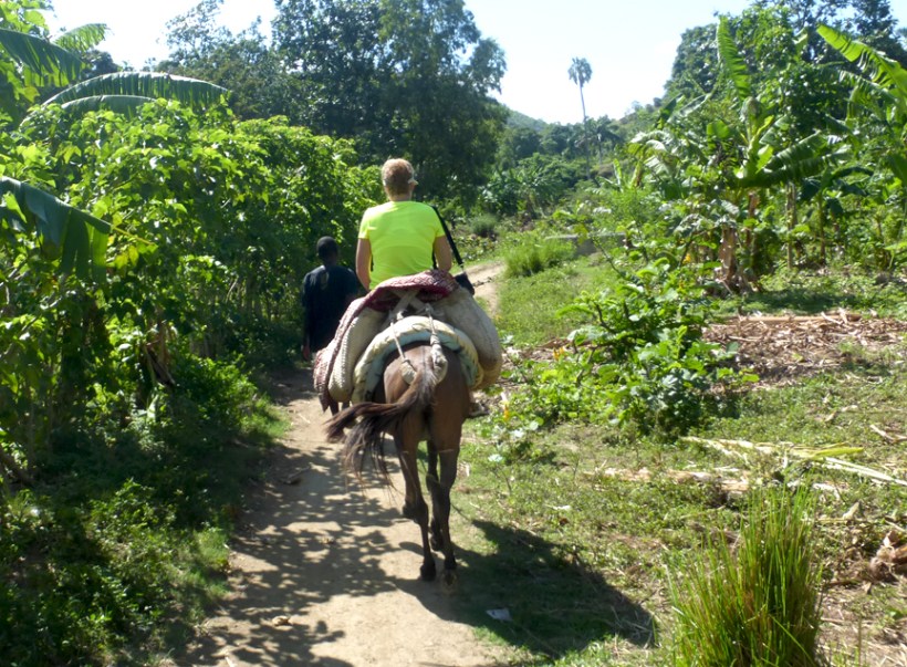 Enjoying the sunshine in the countryside!