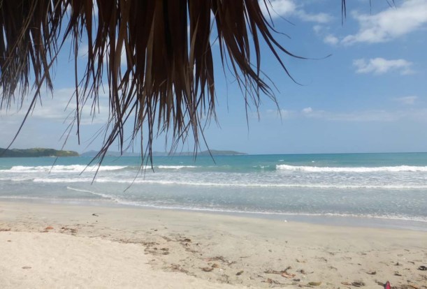 Nothing prepared them for the waves at Rainbow Beach!