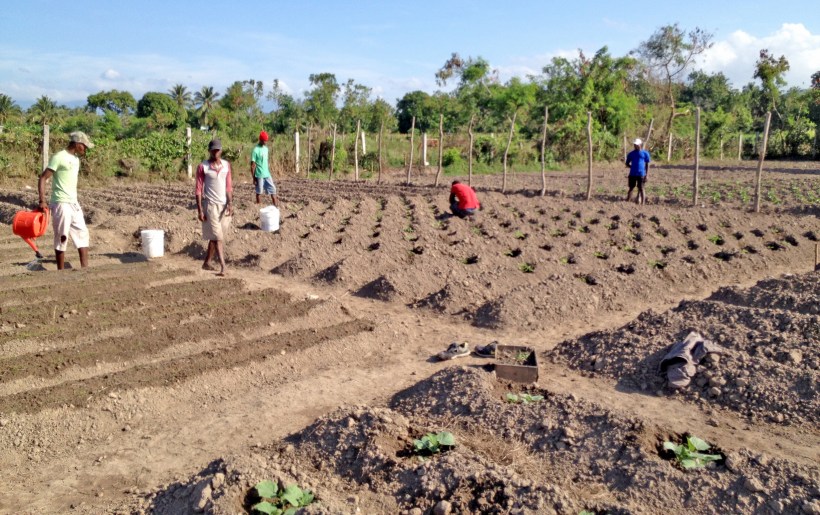 Grant has eight boys hard at work on their community project, a half acre garden!