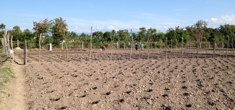 Here's a view of the garden in the distance. There are many other gardens all around it!