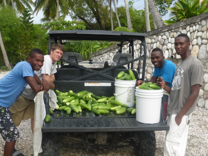Grant's garden has produced a bumper crop! 
