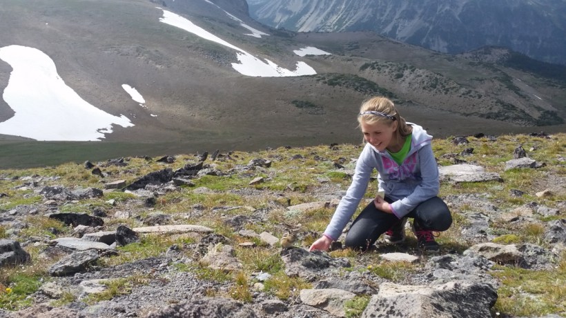 Grace loved feeding the chipmunks at the top!